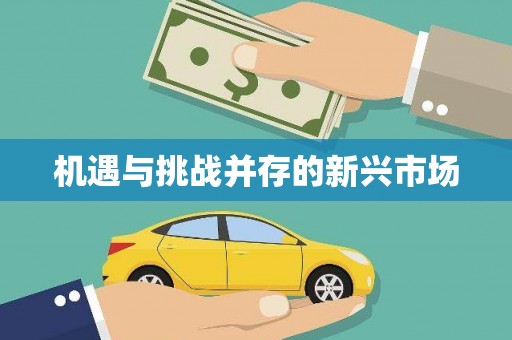 大丰机遇与挑战并存的新兴市场