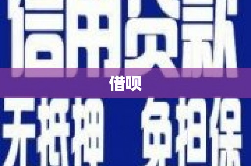 大丰借呗