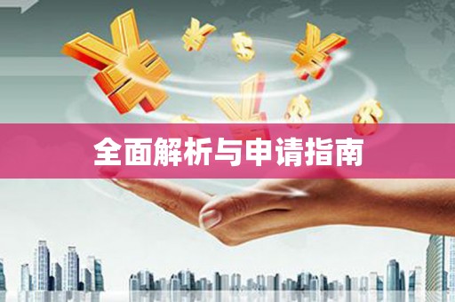 大丰全面解析与申请指南