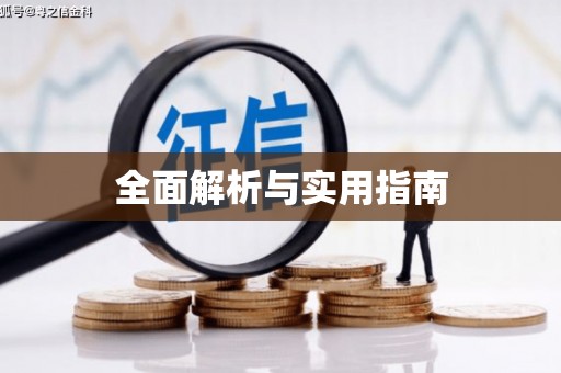 大丰全面解析与实用指南