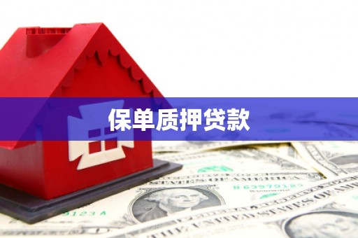大丰保单质押贷款