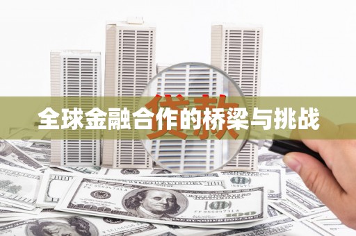 大丰全球金融合作的桥梁与挑战