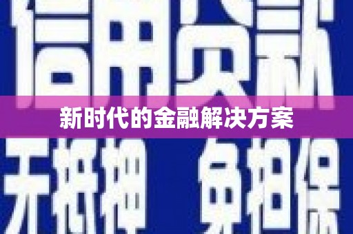 大丰新时代的金融解决方案