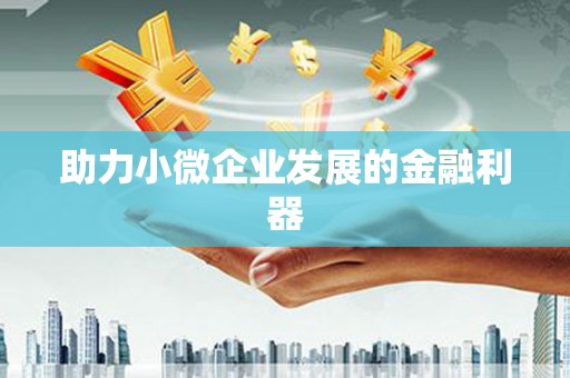 大丰助力小微企业发展的金融利器