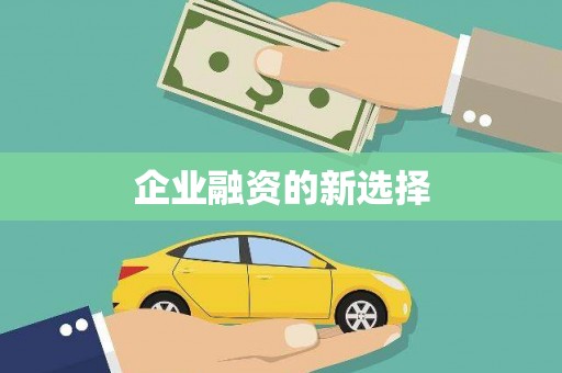 大丰企业融资的新选择