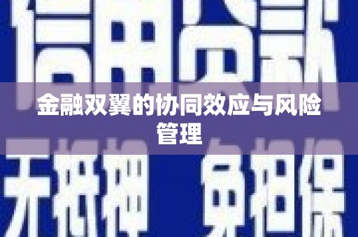 大丰金融双翼的协同效应与风险管理