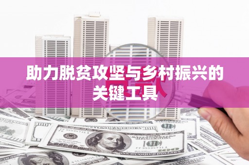 大丰助力脱贫攻坚与乡村振兴的关键工具