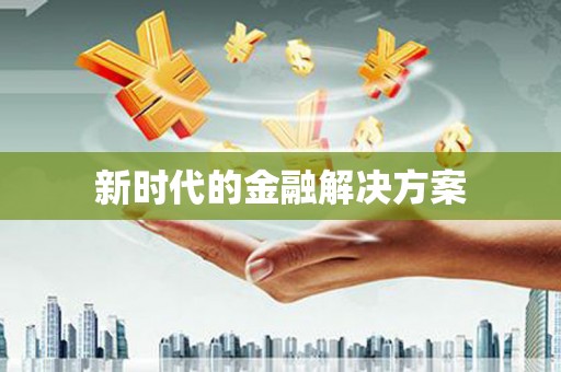 大丰新时代的金融解决方案