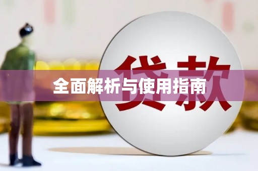 大丰全面解析与使用指南
