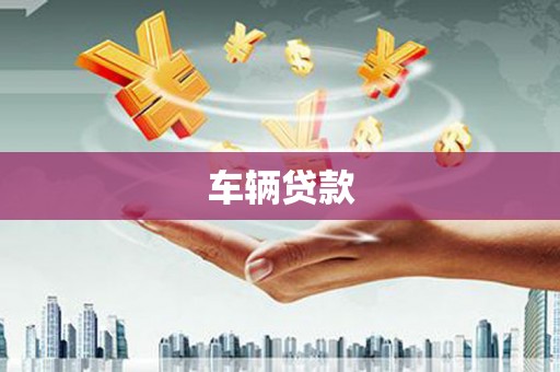 大丰车辆贷款