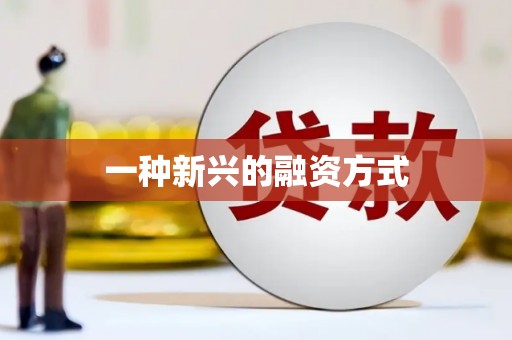 大丰一种新兴的融资方式