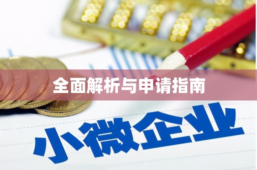 大丰全面解析与申请指南