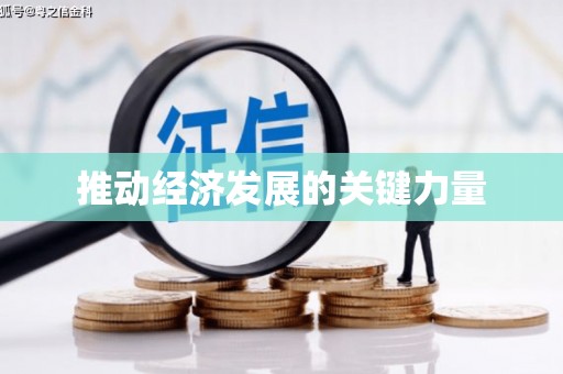 大丰推动经济发展的关键力量