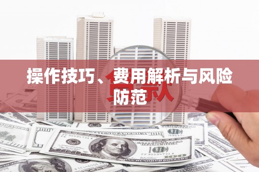 大丰操作技巧、费用解析与风险防范