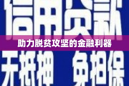 大丰助力脱贫攻坚的金融利器