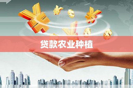 大丰贷款农业种植