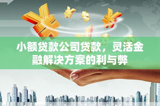 大丰小额贷款公司贷款，灵活金融解决方案的利与弊