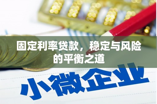 大丰固定利率贷款，稳定与风险的平衡之道