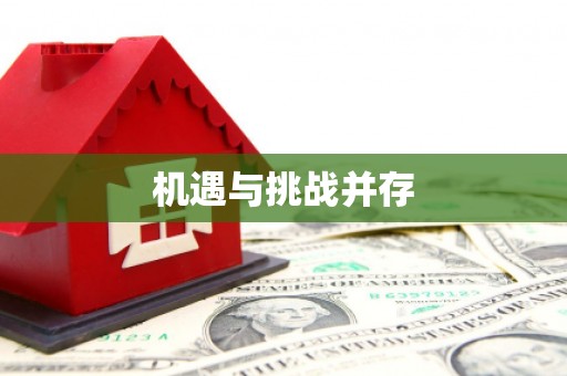 大丰机遇与挑战并存