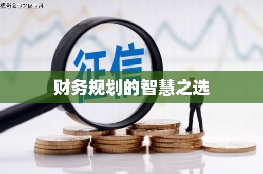 大丰财务规划的智慧之选