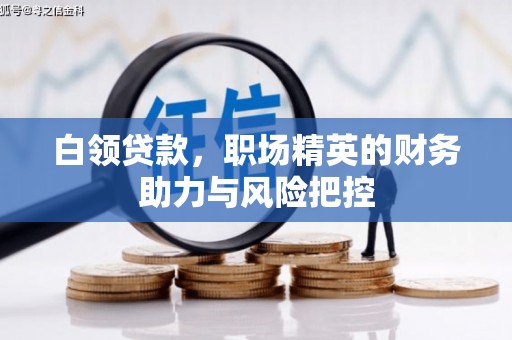 大丰白领贷款，职场精英的财务助力与风险把控